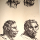 Illustration for article titled Baroque-Era Drawings Reveal Early Ideas About Evolution